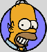 Homer.gif